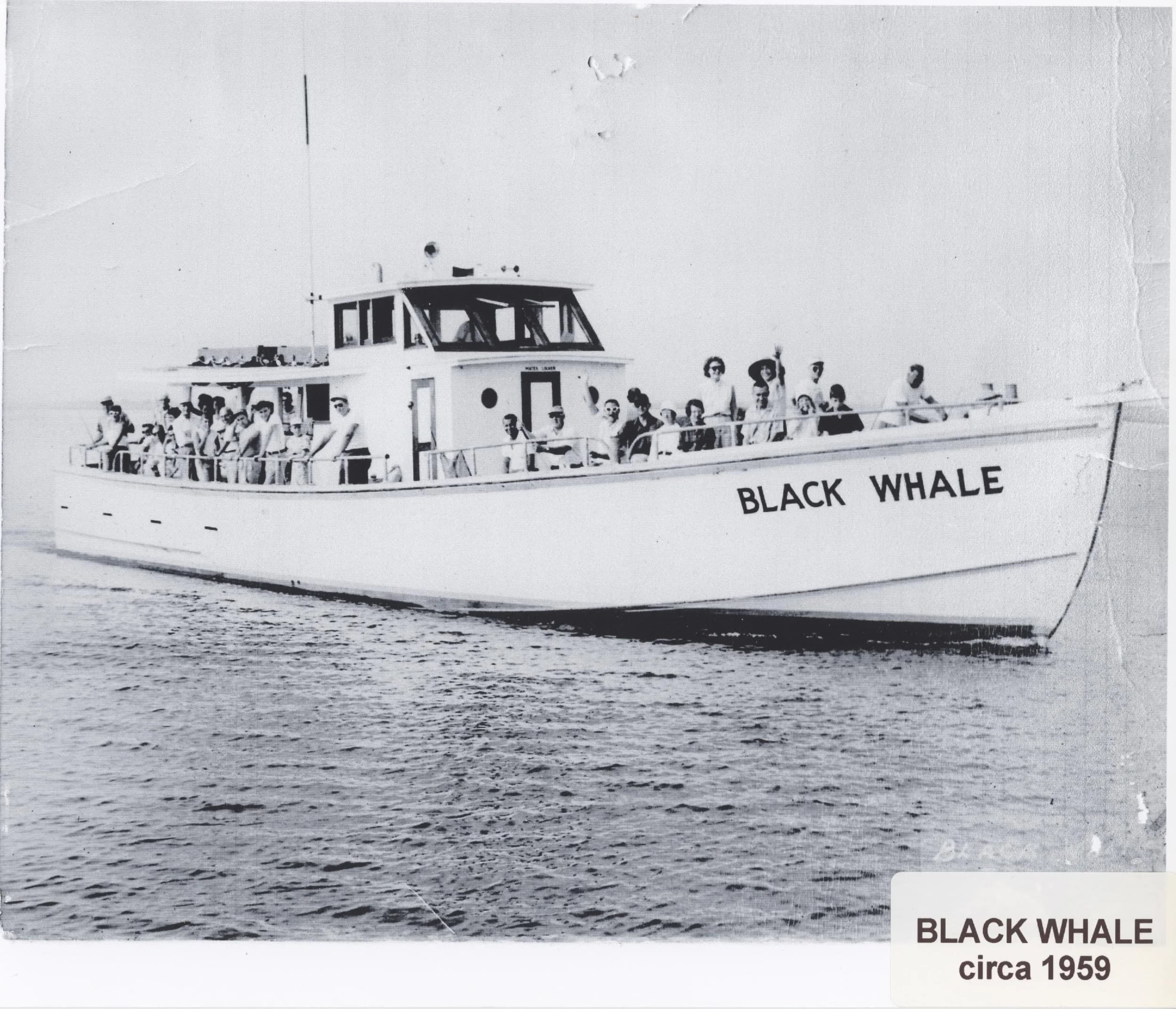 Black Whale Bar & Fish House